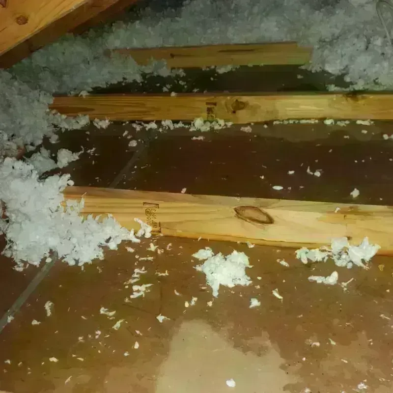 Attic Water Damage in Bradley County, TN